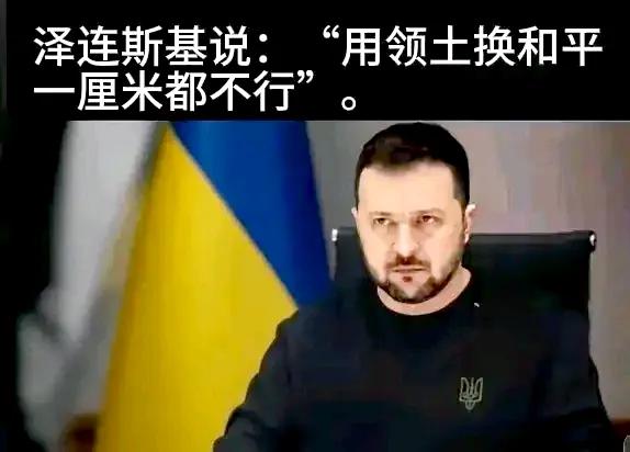 泽连斯基·志

文／李海平

边关誓守志如磐，血沃疆场卫河山。

领土完整岂容损
