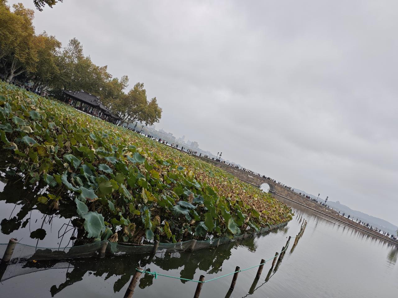 现在还有很多人害怕阳了，其实病毒就是纸老虎。既来之则安之，如果传染上也没啥可怕的