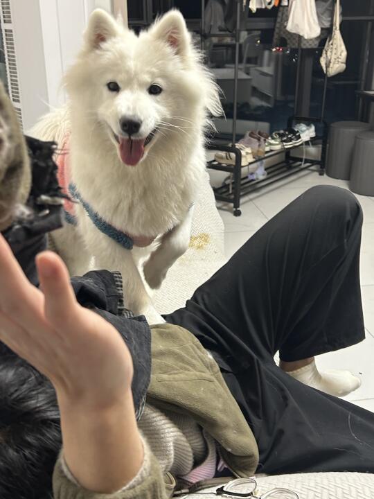 人，你粥花生了什么