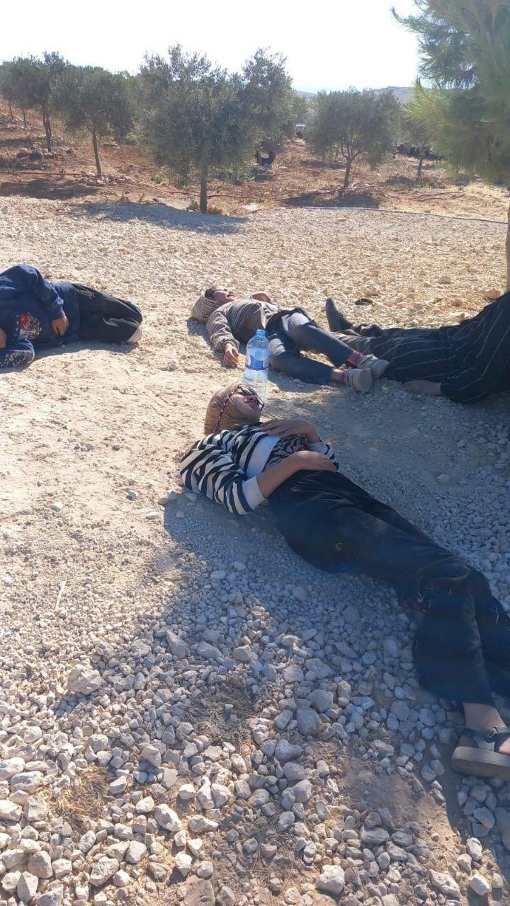 今天上午，以色列定居者民兵袭击了位于被占领的约旦河西岸希伯伦以南马萨费尔亚塔胡瓦