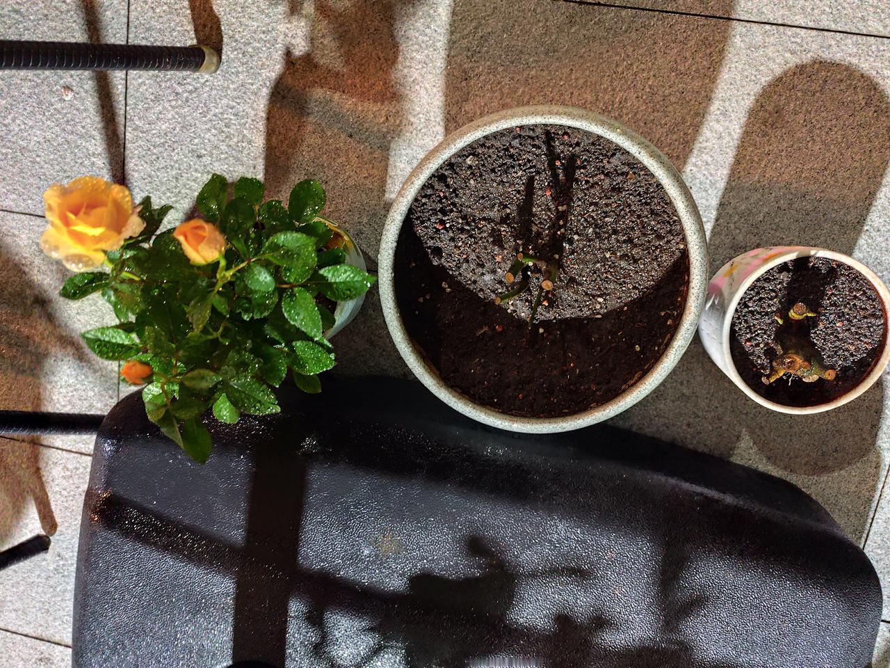 好累啊。
现在凑到6六千块钱，我要去进货了。
然后我找的是何必认识人帮忙看店，给