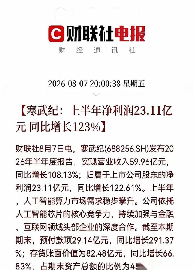 寒武纪半年报一记重锤，敲碎幻想，算力产业链玩法已然生变
 
寒武纪这份半年报，像