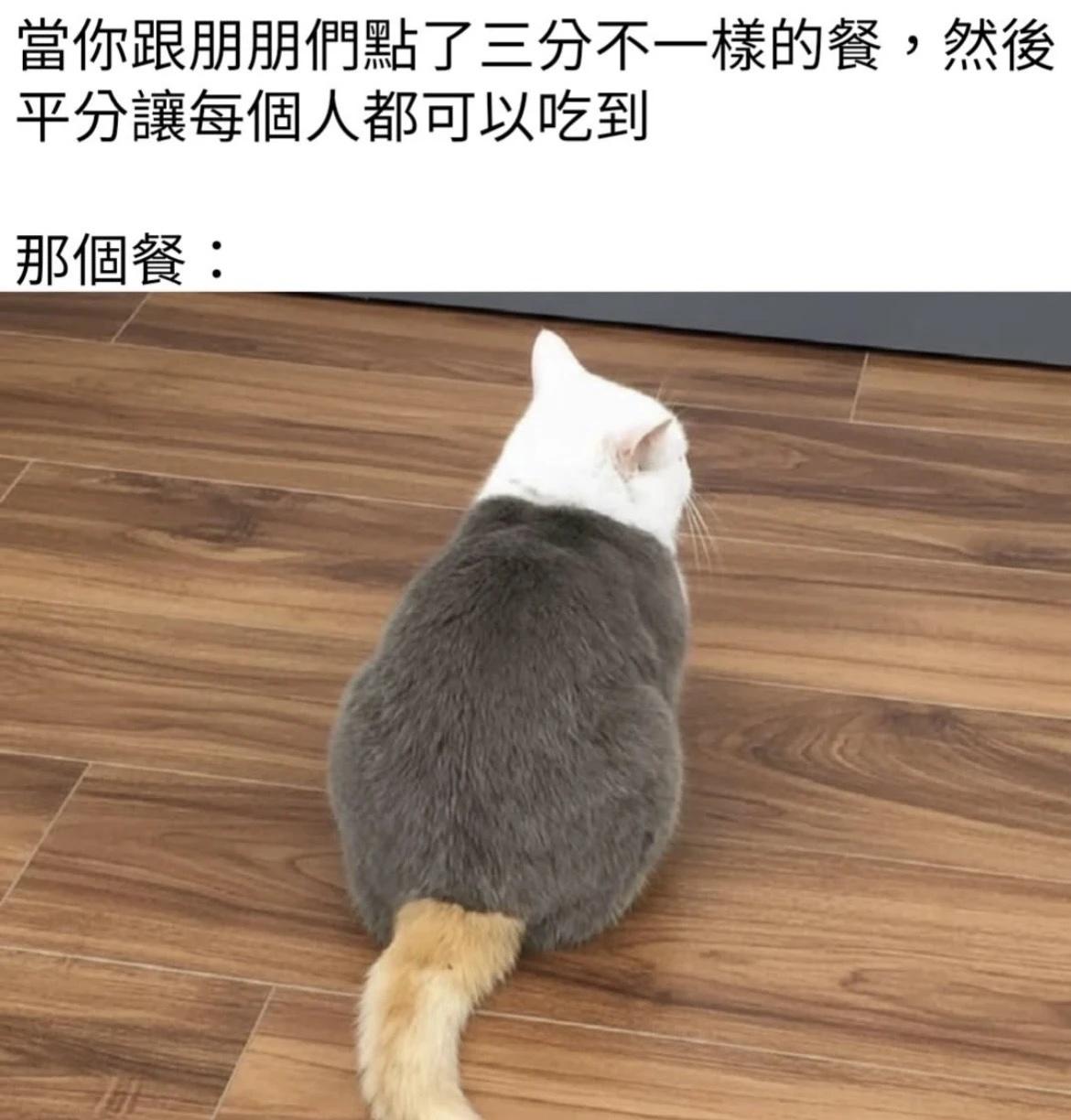 🍒搞笑梗图时刻 🍔今日梗图已上线，请查收哦~ ​​​