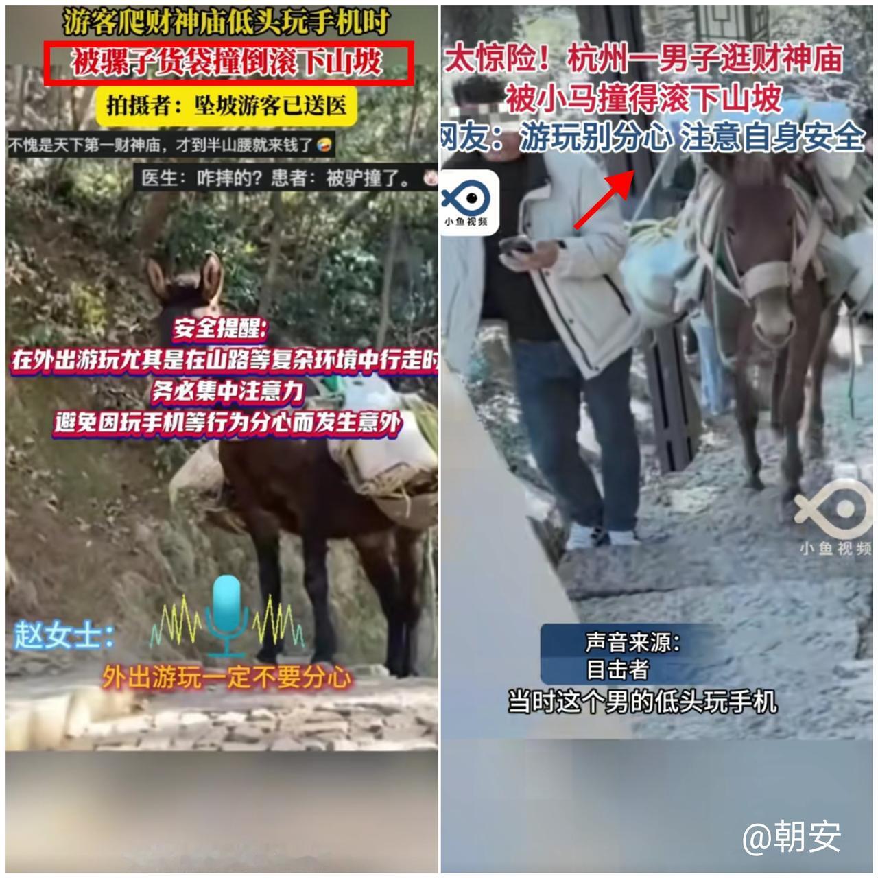 解释不清了！

杭州男子爬财神庙低头刷手机，被骡子货袋一撞直接滚下山坡！

幸亏
