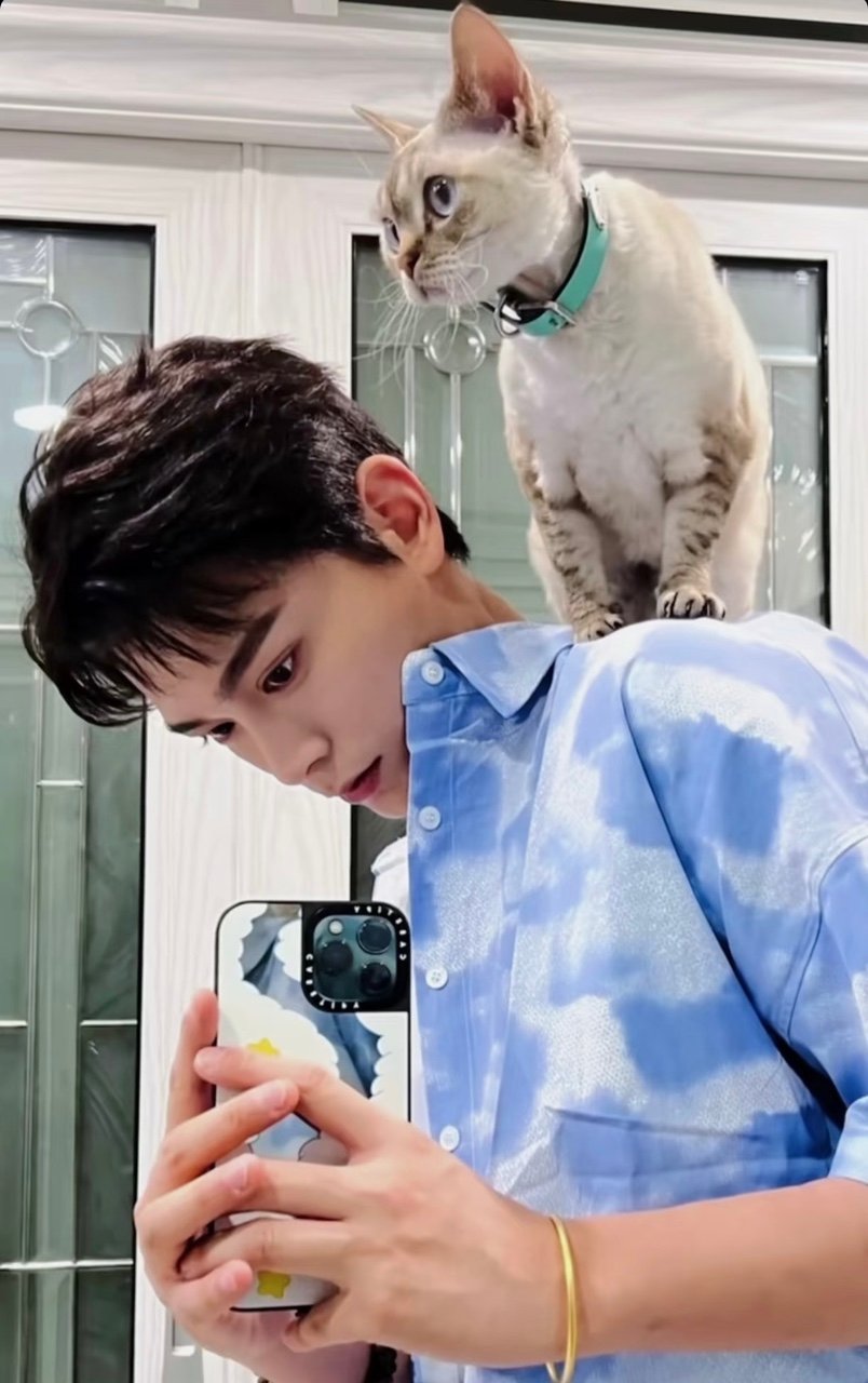 田曦薇丁禹兮猫塑这块 唐朝双猫的反差萌绝了！小田是上蹿下跳的调皮狸花，小丁是端庄
