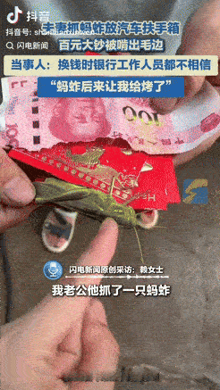 “这下后悔了吧！”湖南永州，一夫妻抓了只蚂蚱，随手放在了汽车的扶手箱里，结果下车