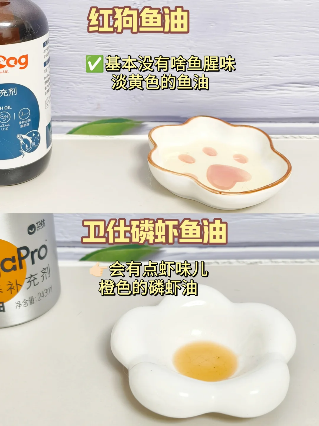 今天就来深扒下鱼油！铲屎官亲测！