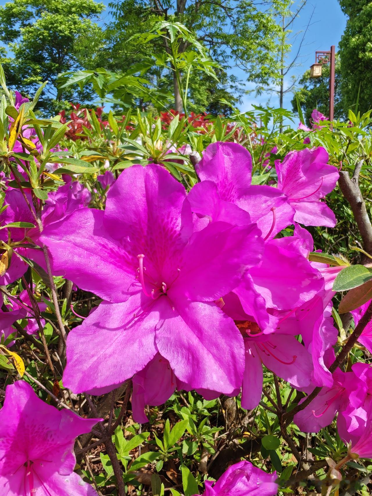 40+的年纪想裸辞都裸不起！
每个月3000不到的工资，虽然看起来没有什么负担，