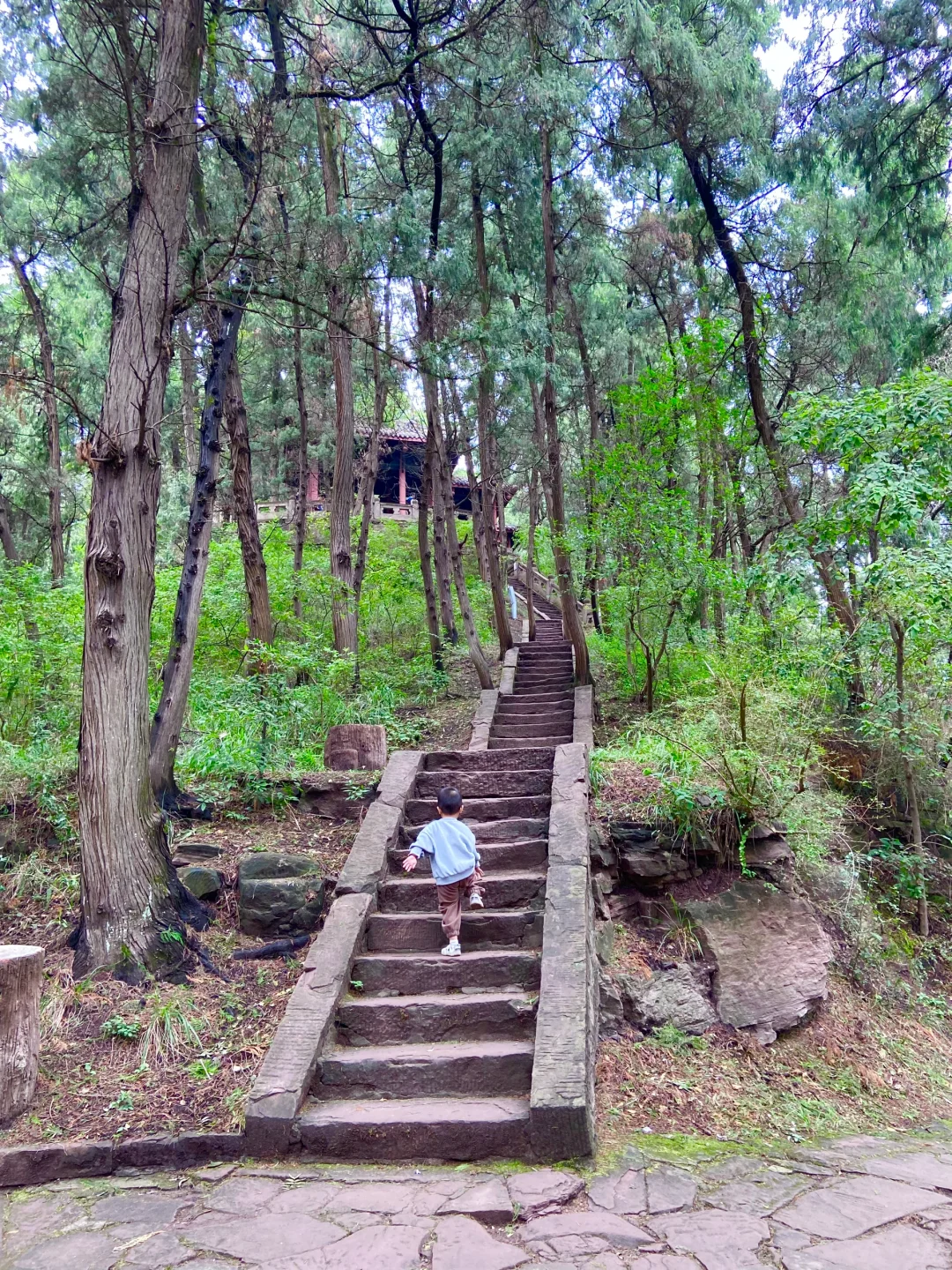 成都1h，居然才知道这条人少免费的徒步路线