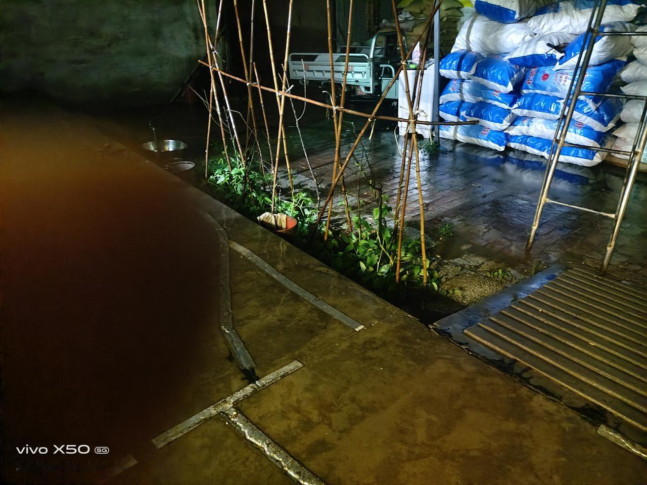 时间过得真快，一晃麦子马上就要熟了，春玉米人们已经种上了，最近人们又忙着栽红薯，