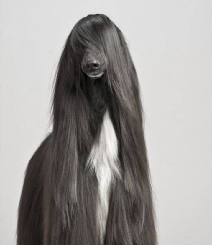 哈哈哈哈哈 ​​​