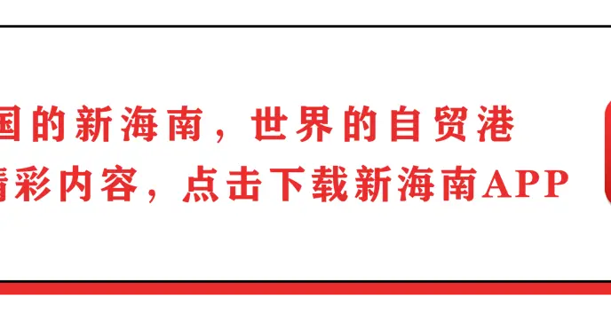 仔细听，这些花朵里隐藏着情话