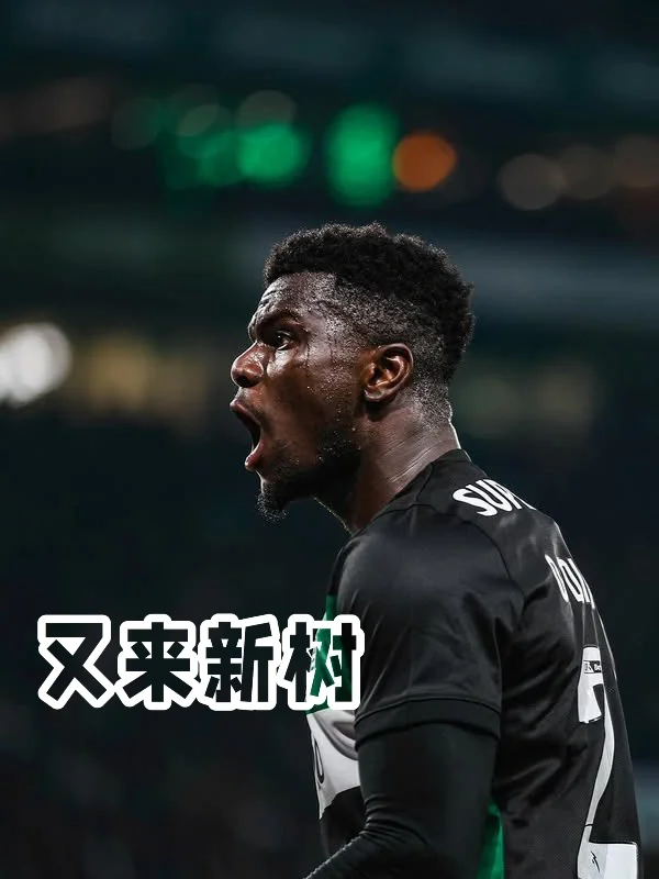 🚨突发丨拜仁希望冬窗签下后卫迪奥曼迪