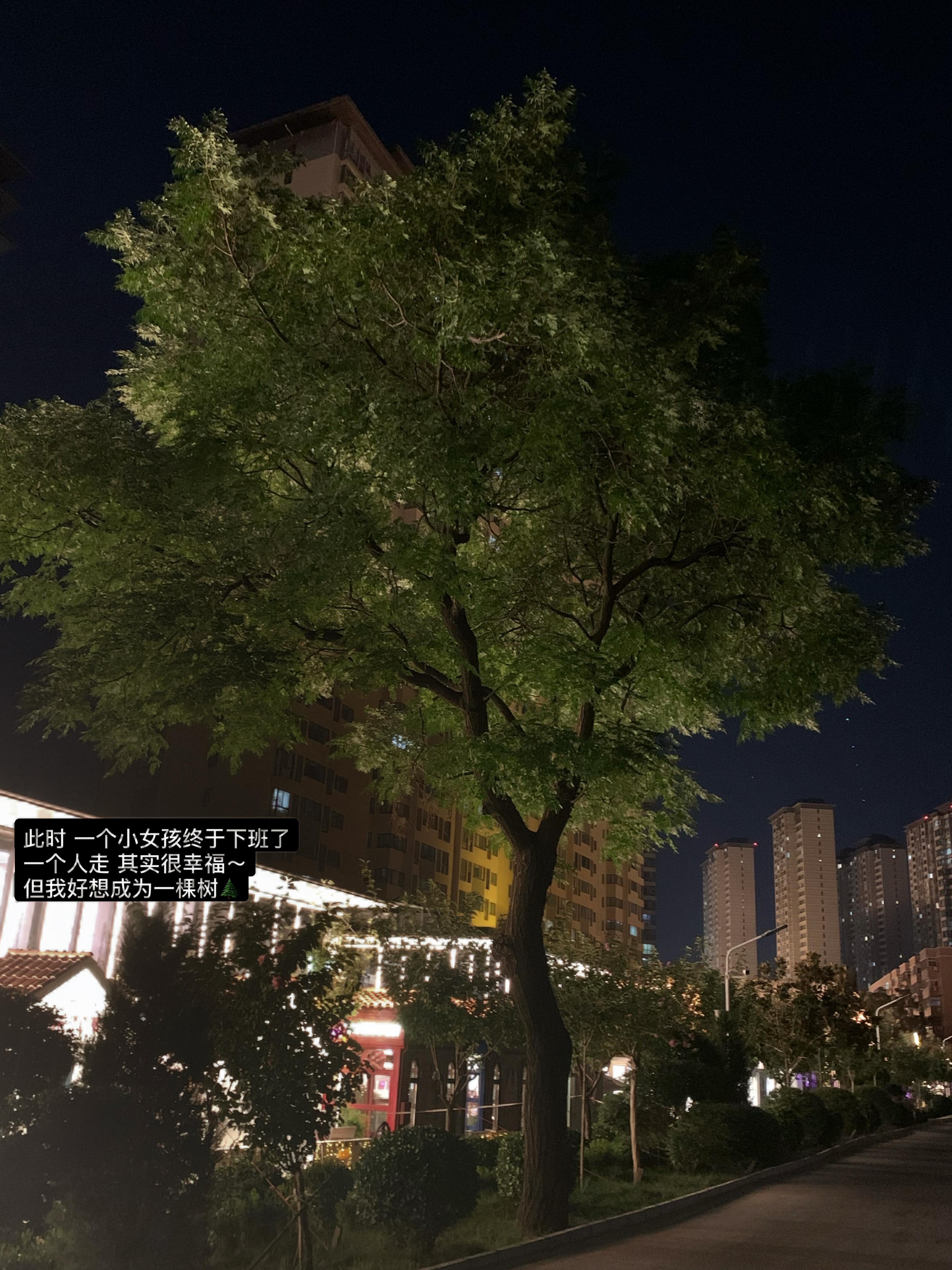 懂知足 于是幸福的好轻松 ​​​
