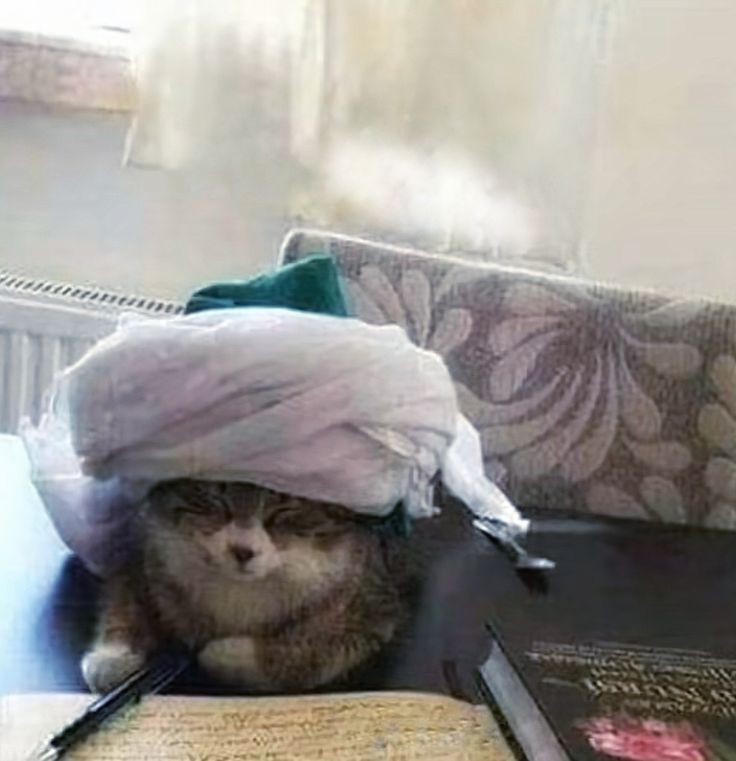 莴要。。画画。。。 ​​​
