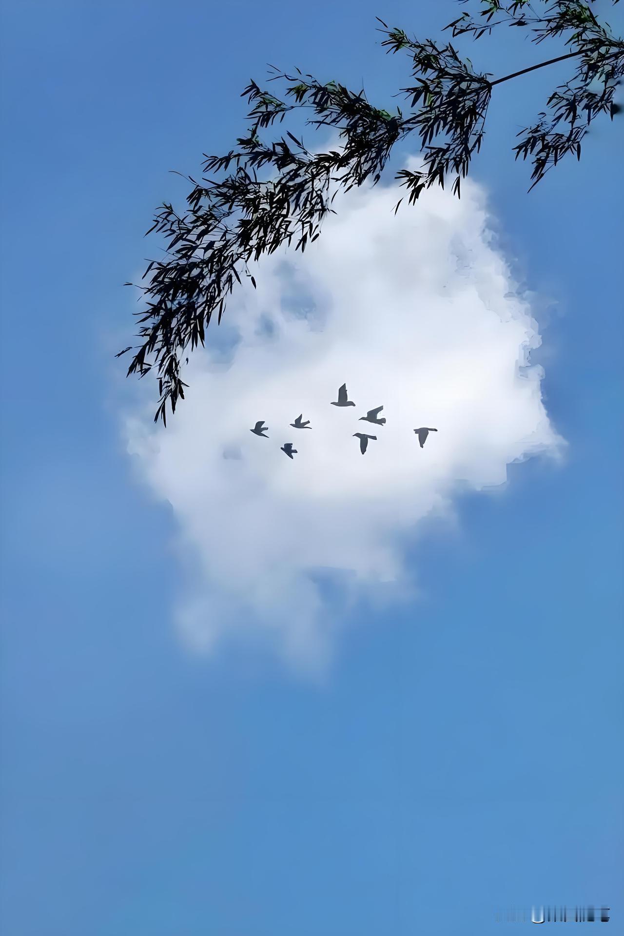 都说养儿防老，可真到了开口那天，那话比石头还沉。
邻居张姨上个月住院，女儿垫了五