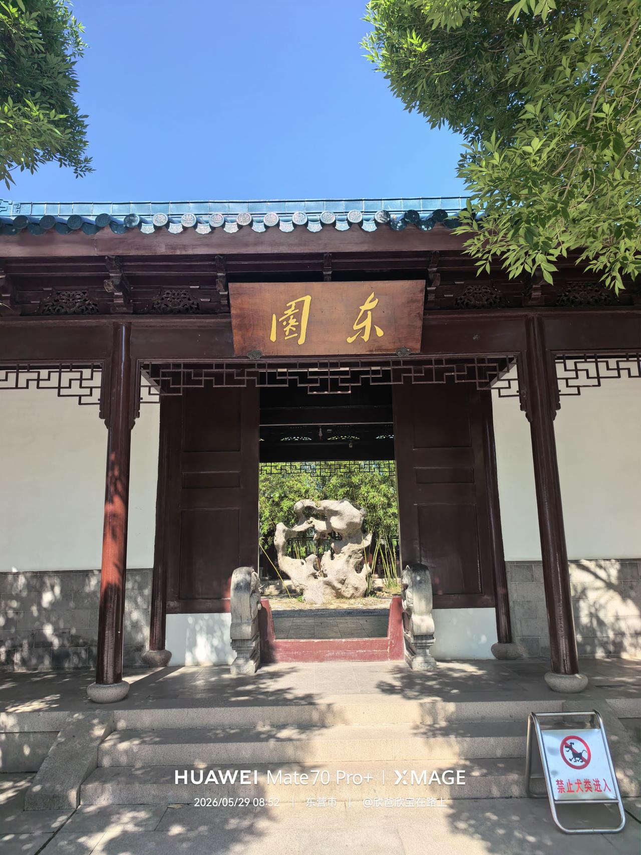 东营最具江南风情的一处公园:东园
请恕我这次来去匆匆，没来得及好好体验东园的温柔