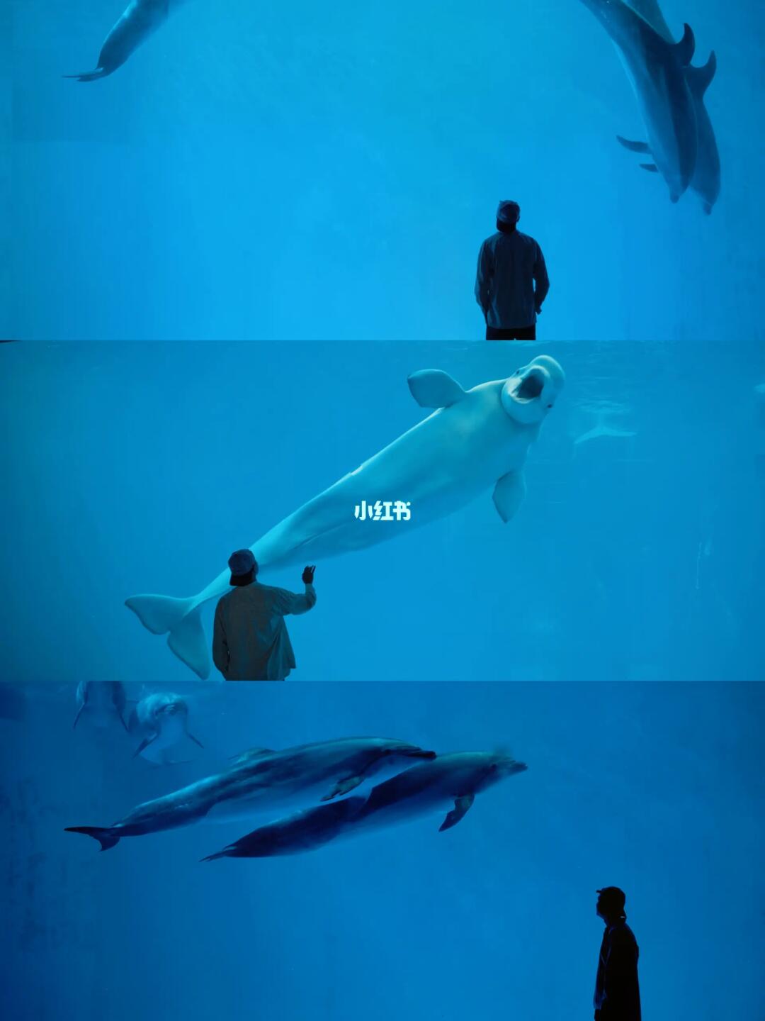 成都闹市清凉地，陪你去看海底万里