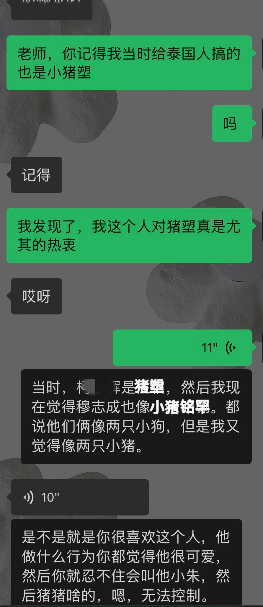 全世界还有谁比我更爱小猪塑 