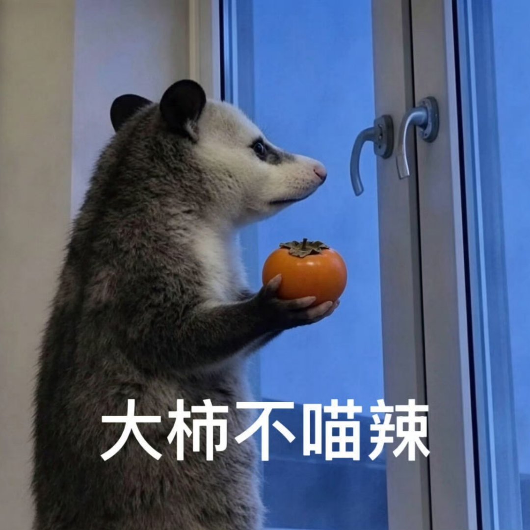 感觉这个月会很寡淡😮‍💨😮‍💨😮‍💨 ​​​