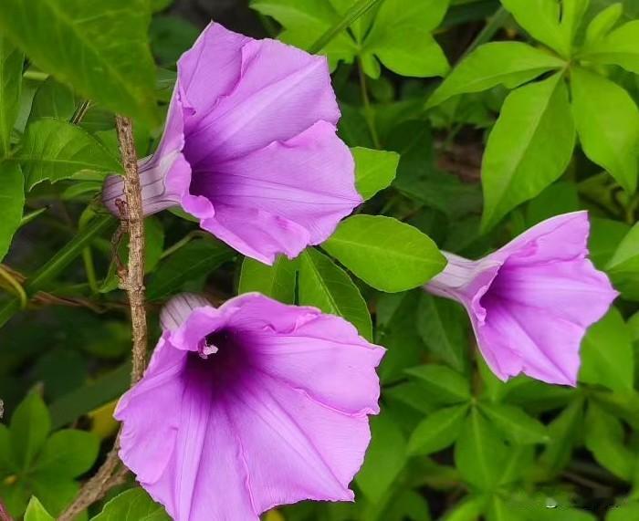 老婆走的那天，他觉得这辈子完了
他今年四十六，离婚那天，她把结婚照剪成两半，扔下