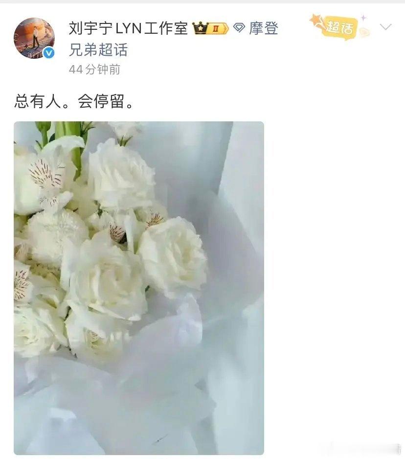 为什么刘宇宁演唱会22排9号总是会放着一束白玫瑰？知道真相后，不禁泪目了。原来在
