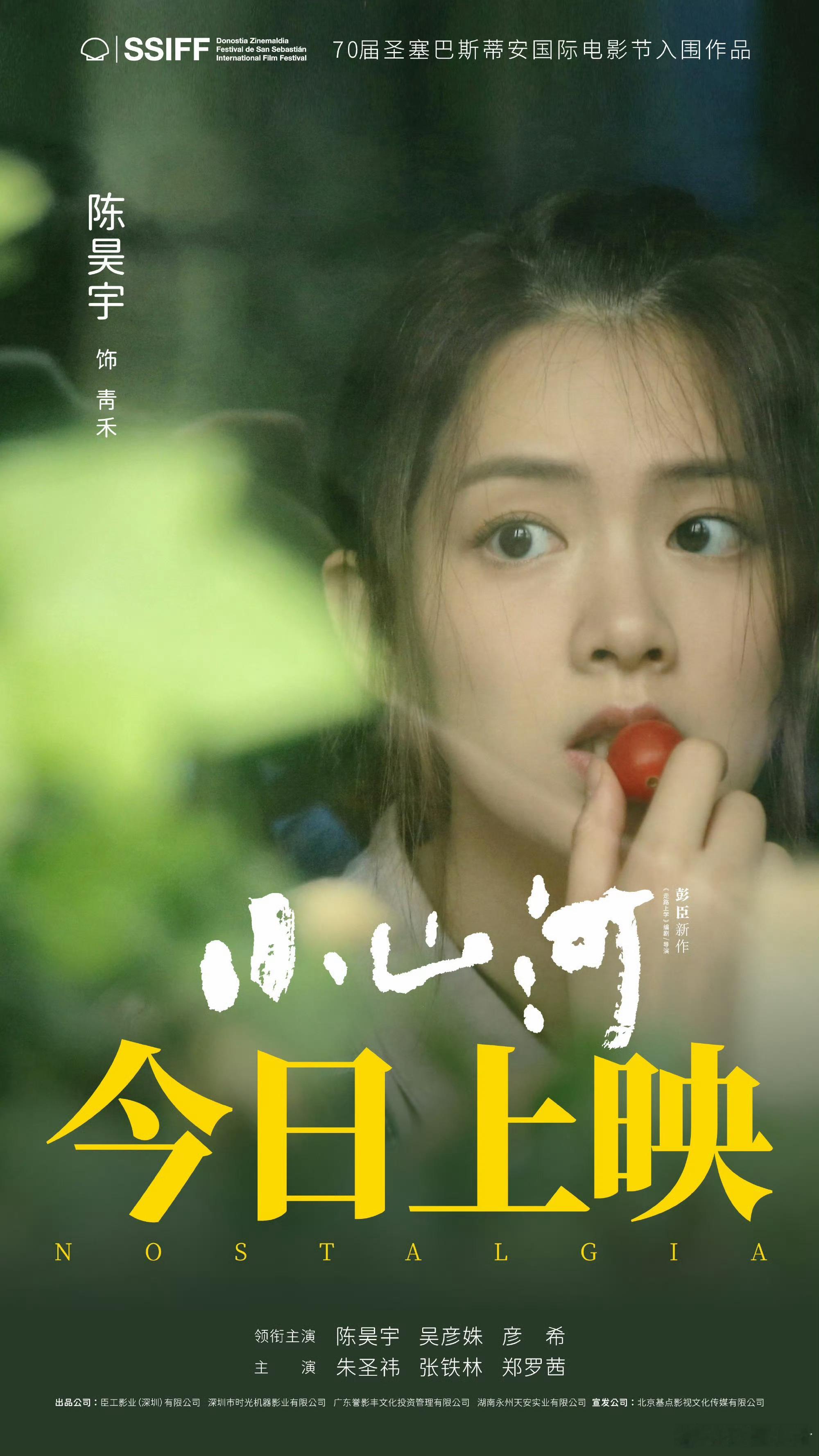 陈昊宇电影《小山河》今日上映海报，小山河票房大卖！电影院见[哇] ​​​