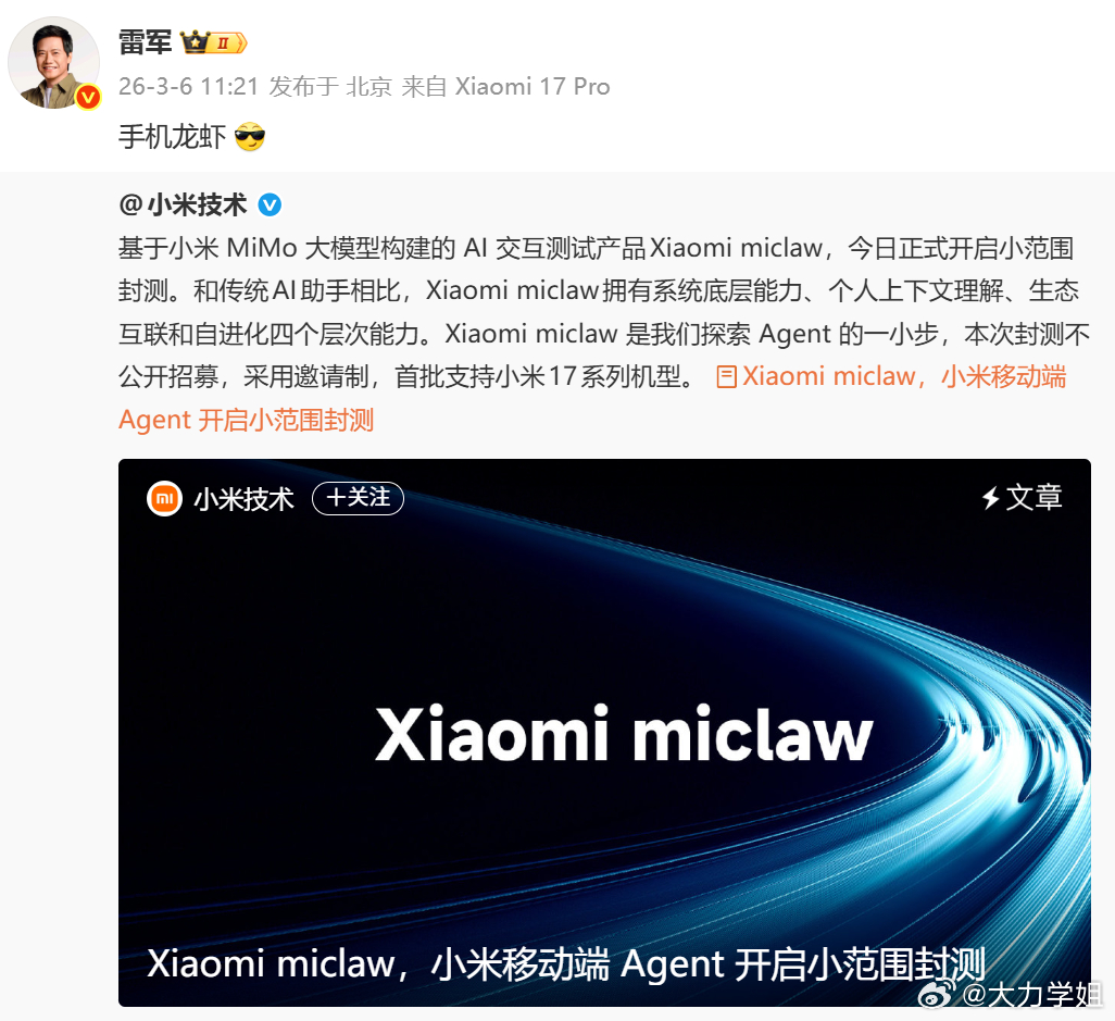 小米发布国内第一个手机版龙虾小米这次的方向挺有意思的~国内第一个手机端系统级AI