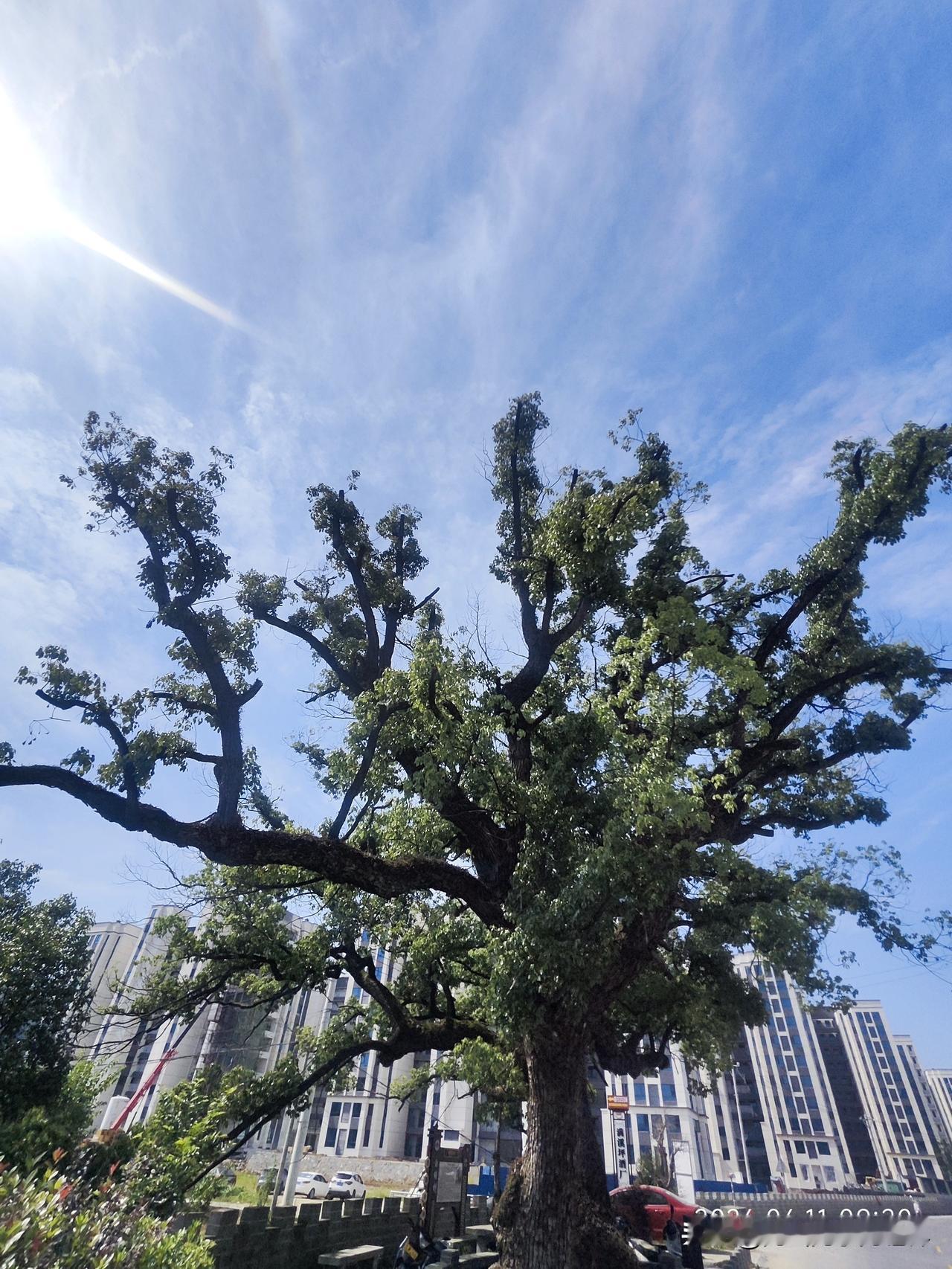 “把‘关我屁事’刻进心里后，我的日子舒服多了”
我有个远房姑姑，年轻时是村里出了