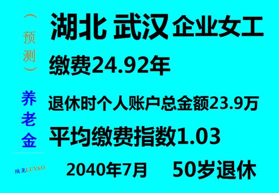 湖北武汉企业女工缴费24.92年2040年退休养老金预测
本次养老金预测测算对象