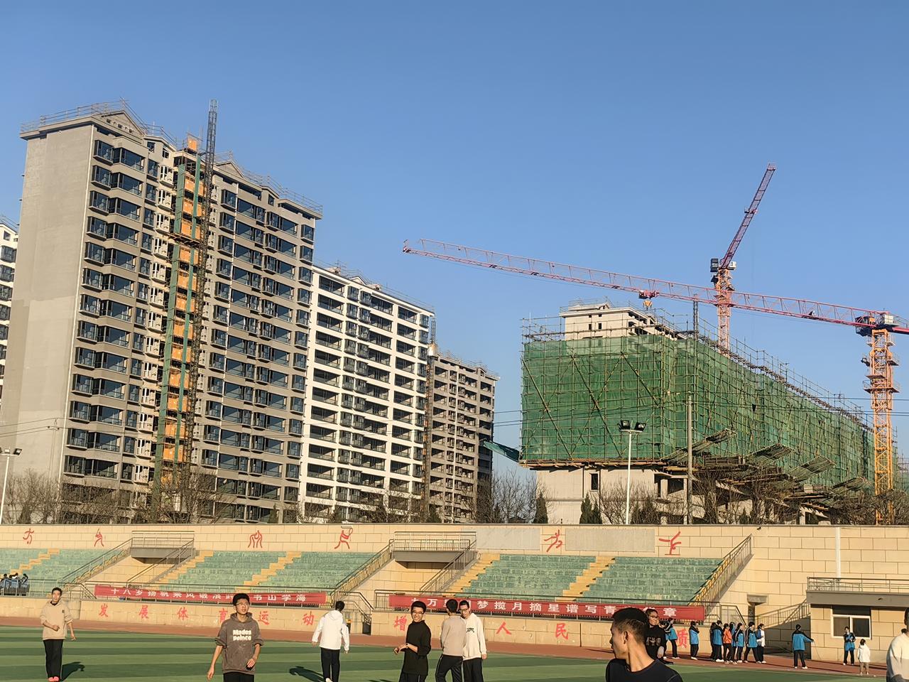 分享一张最近随手拍的照片