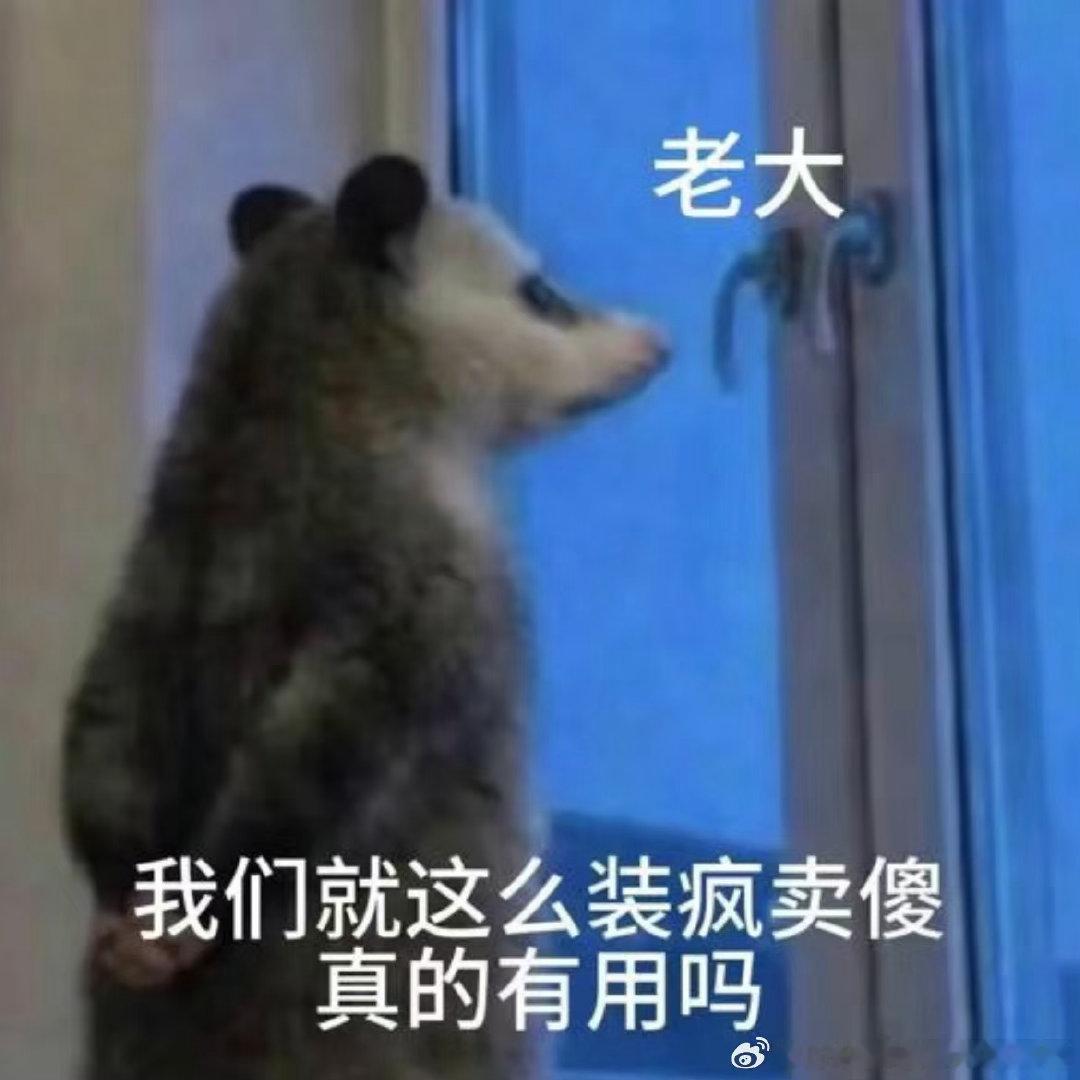 张泽禹我们这么装疯卖傻有用吗张泽禹表情包玩梗张泽禹全新玩梗方式上线，拿经典表情包