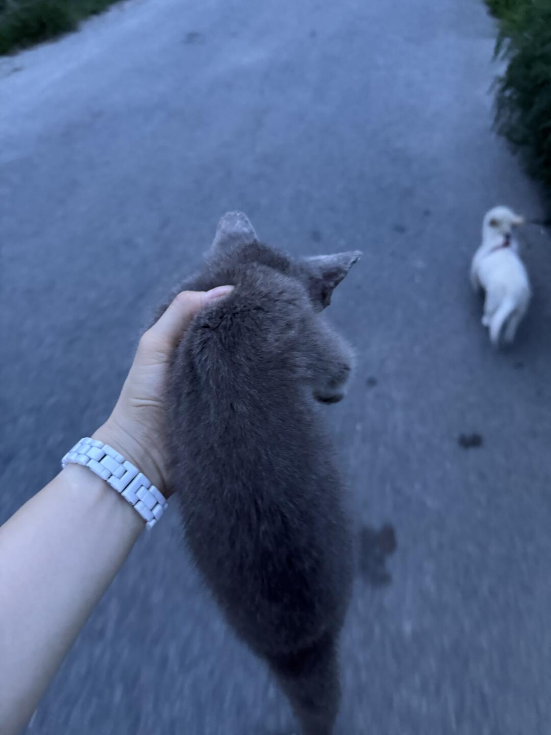 你也是有家的啦 右滑👉看现状