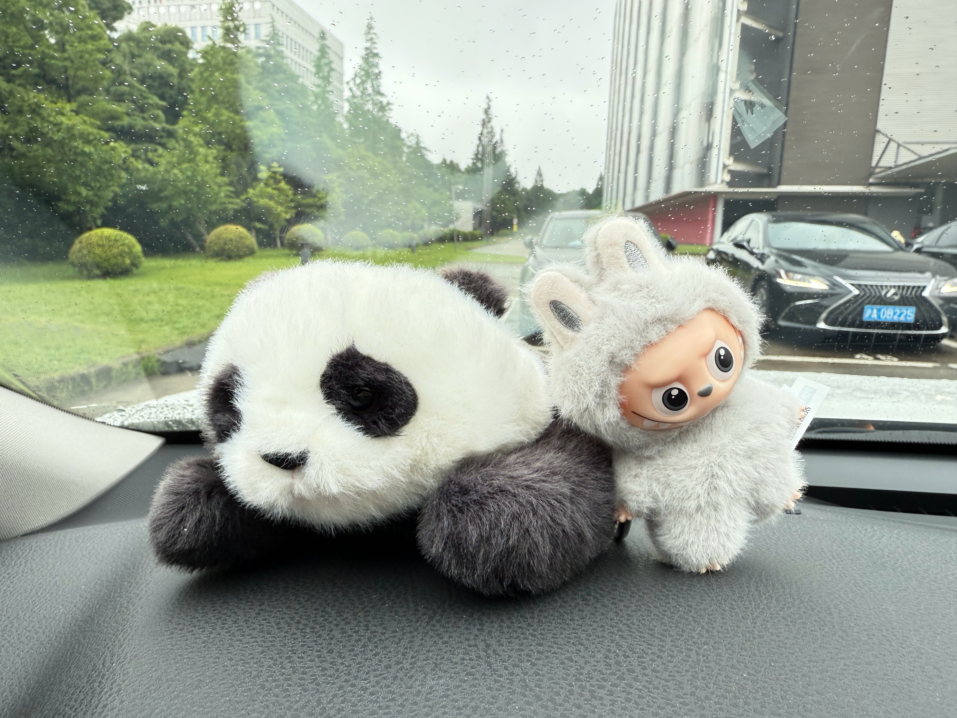 周二早上好又是一个雨天☔️不赶时间赶快乐努力搬砖
