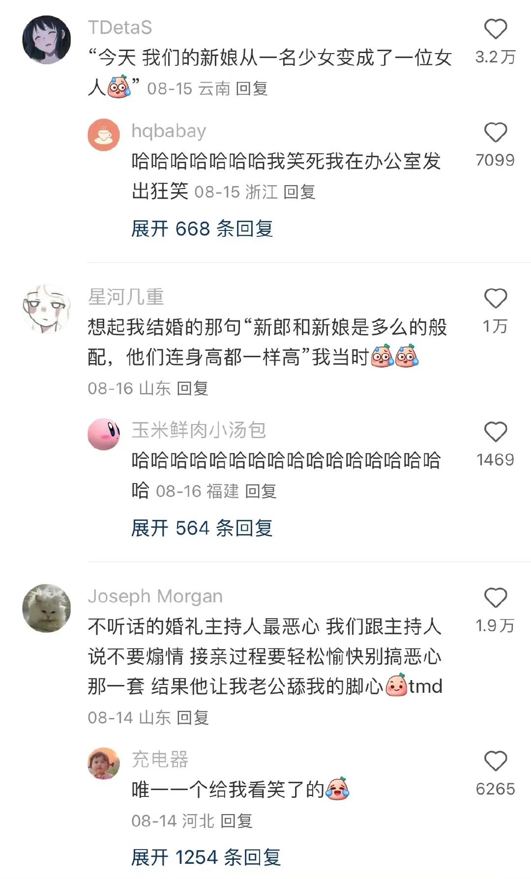 婚礼上的灵魂司仪[我想静静] 