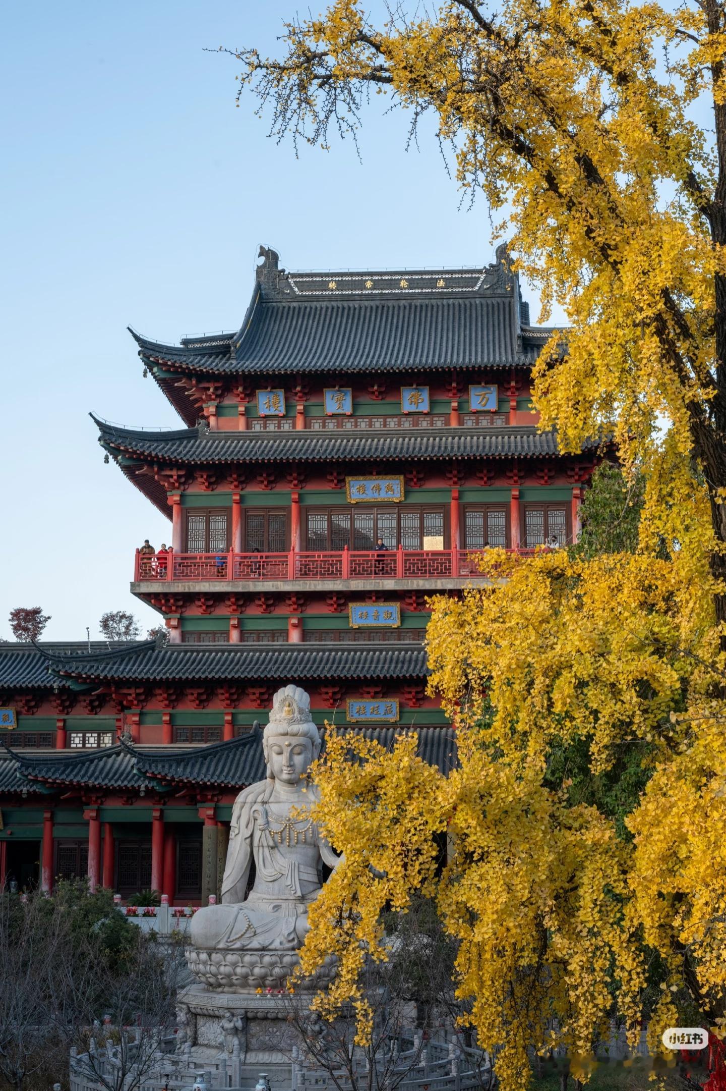 南京梦回金陵城终于知道为什么南京叫金陵了。当六百年的红墙遇上银杏的一树金黄，整座