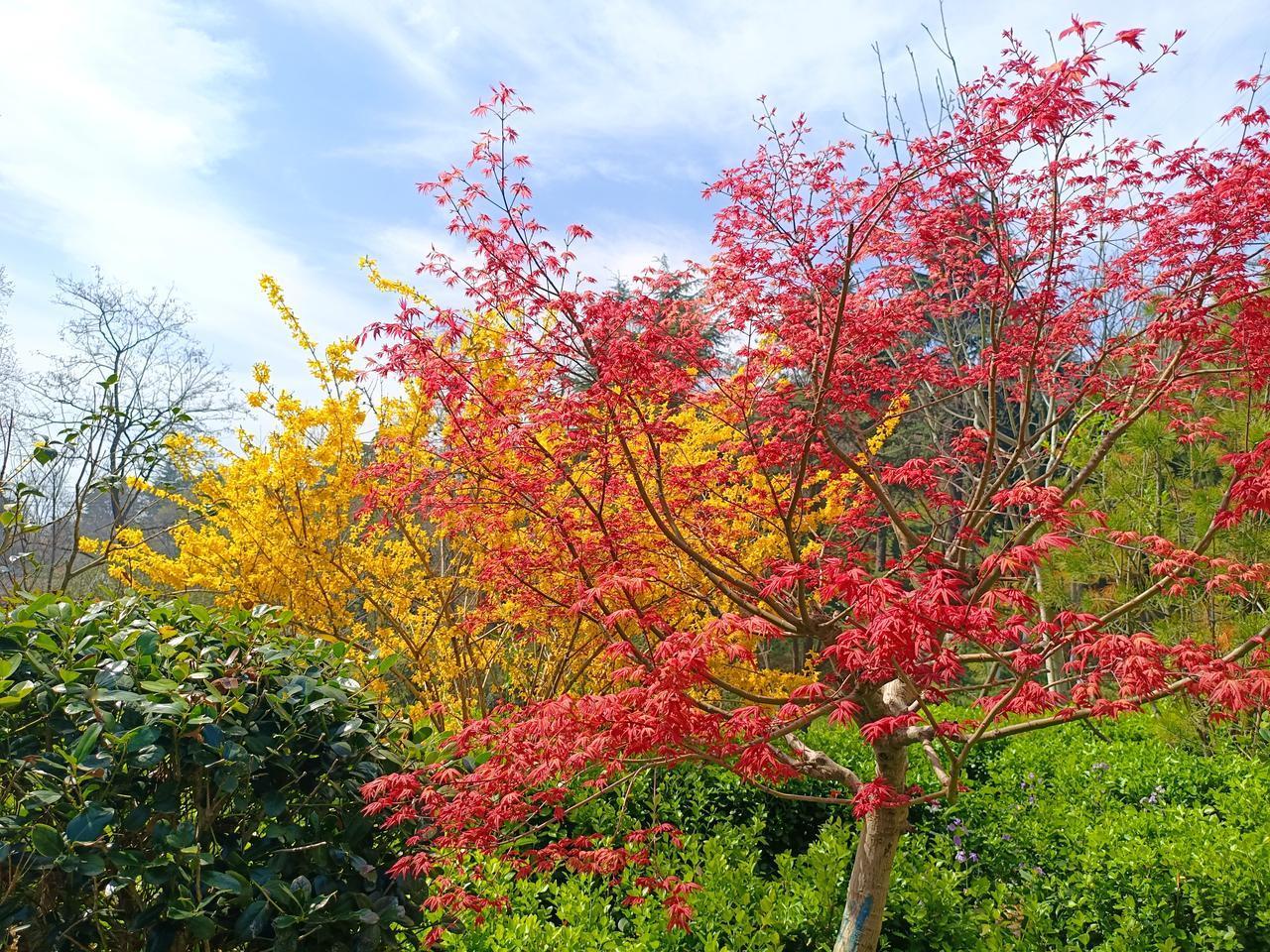对于普通人退休后的生活是人生中又一段美好的时光，
这个时候经过半生的沉淀，什么是