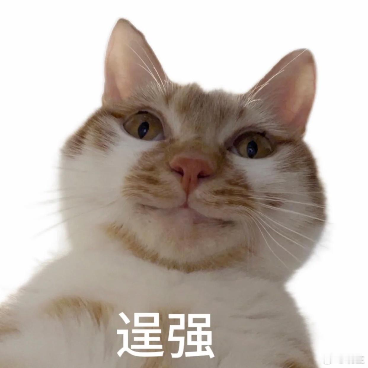 其实我非常害怕“极端”表述的人，之前有个个案，女方来找我时，一句话就把自己钉死了