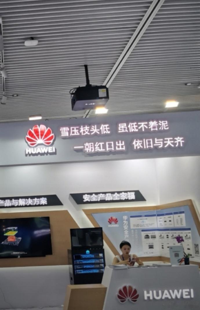 咱中国人这文化底蕴谁比得了，图为华为体验店里的“咏竹”诗，真的是太贴切了！

雪