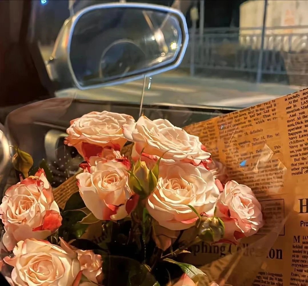 #言情小说[超话]#今日快乐🌷从此鲜花赠自己，纵马踏花向自由📚#宝藏小说推荐