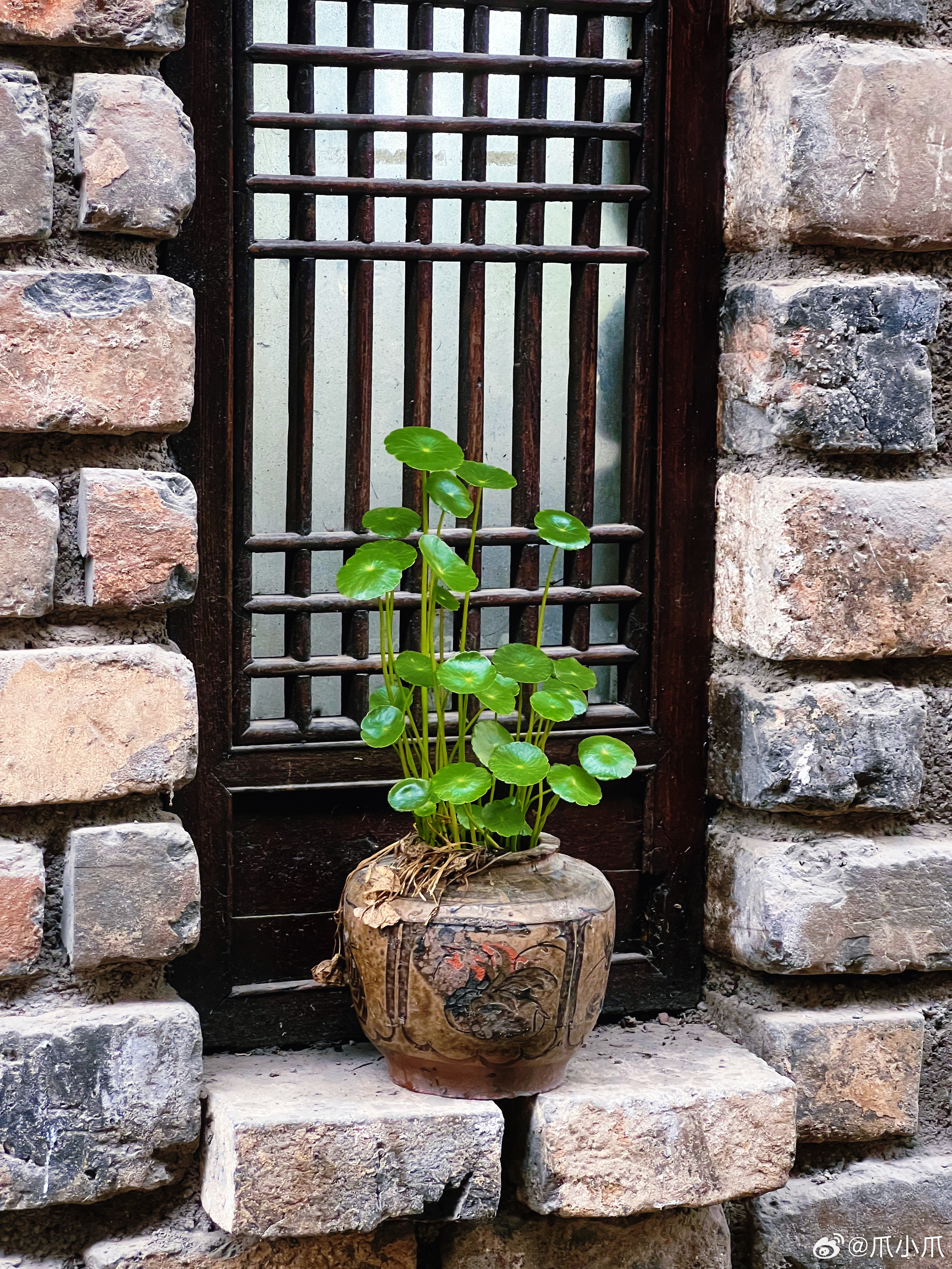 武汉周边既不觉得在国内又不像国外，既生机勃勃又不像真的的地方被我找到了老青砖垒起