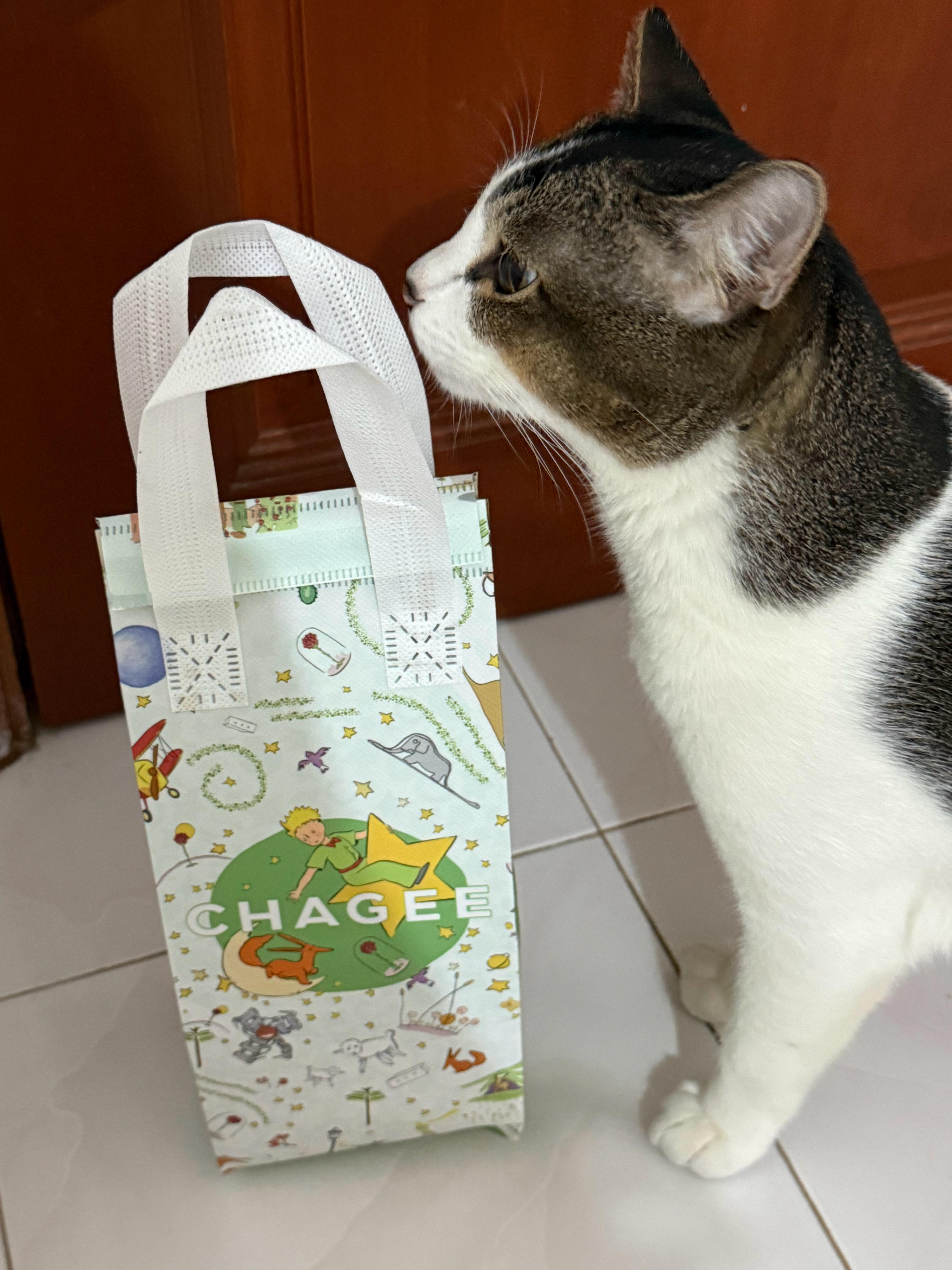 小猫快递员 ​​​