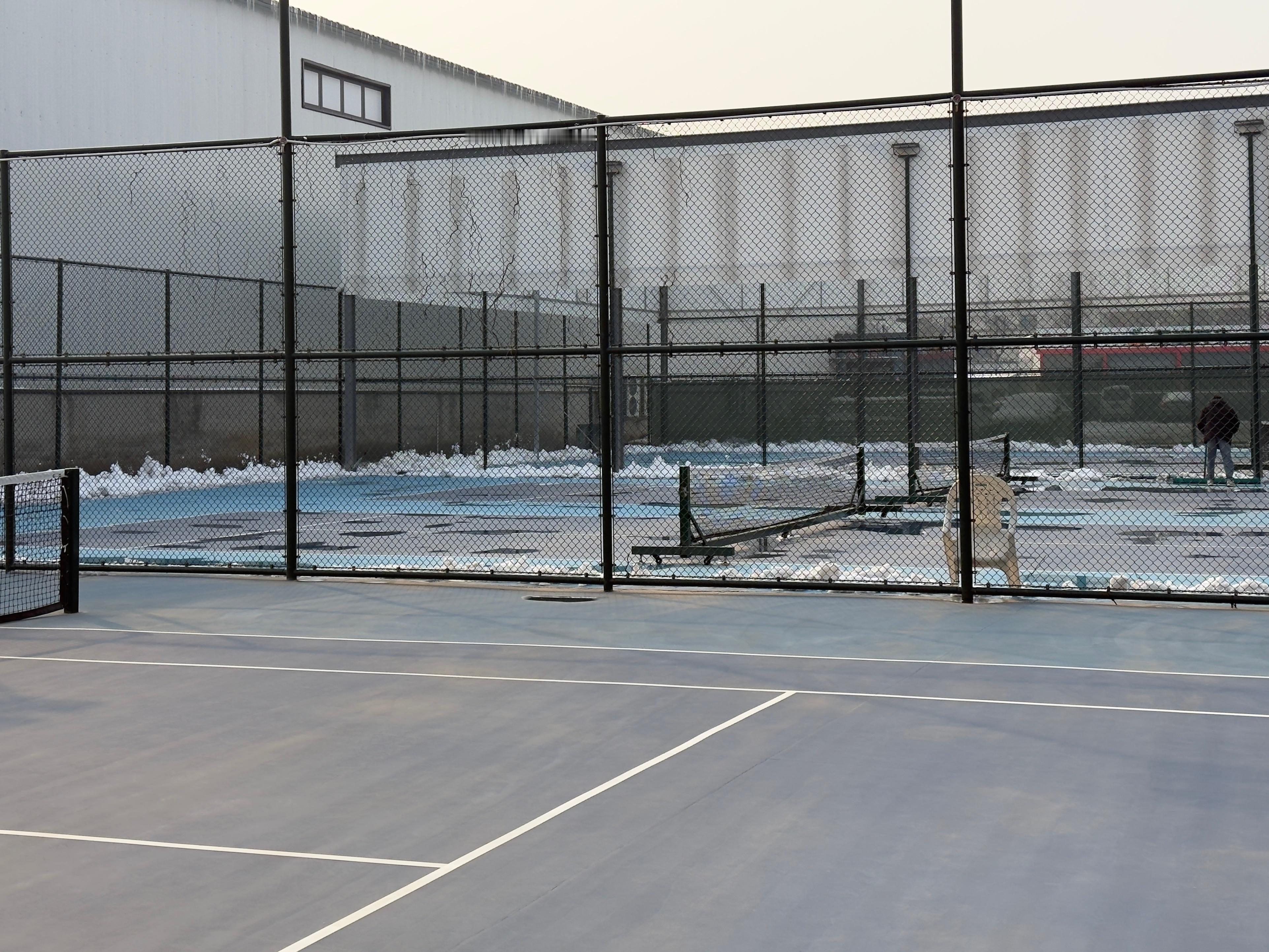 也是非常疯狂了，前天下完大雪，昨天紧接着把场地雪收拾了一下，水推了，今天在零下5