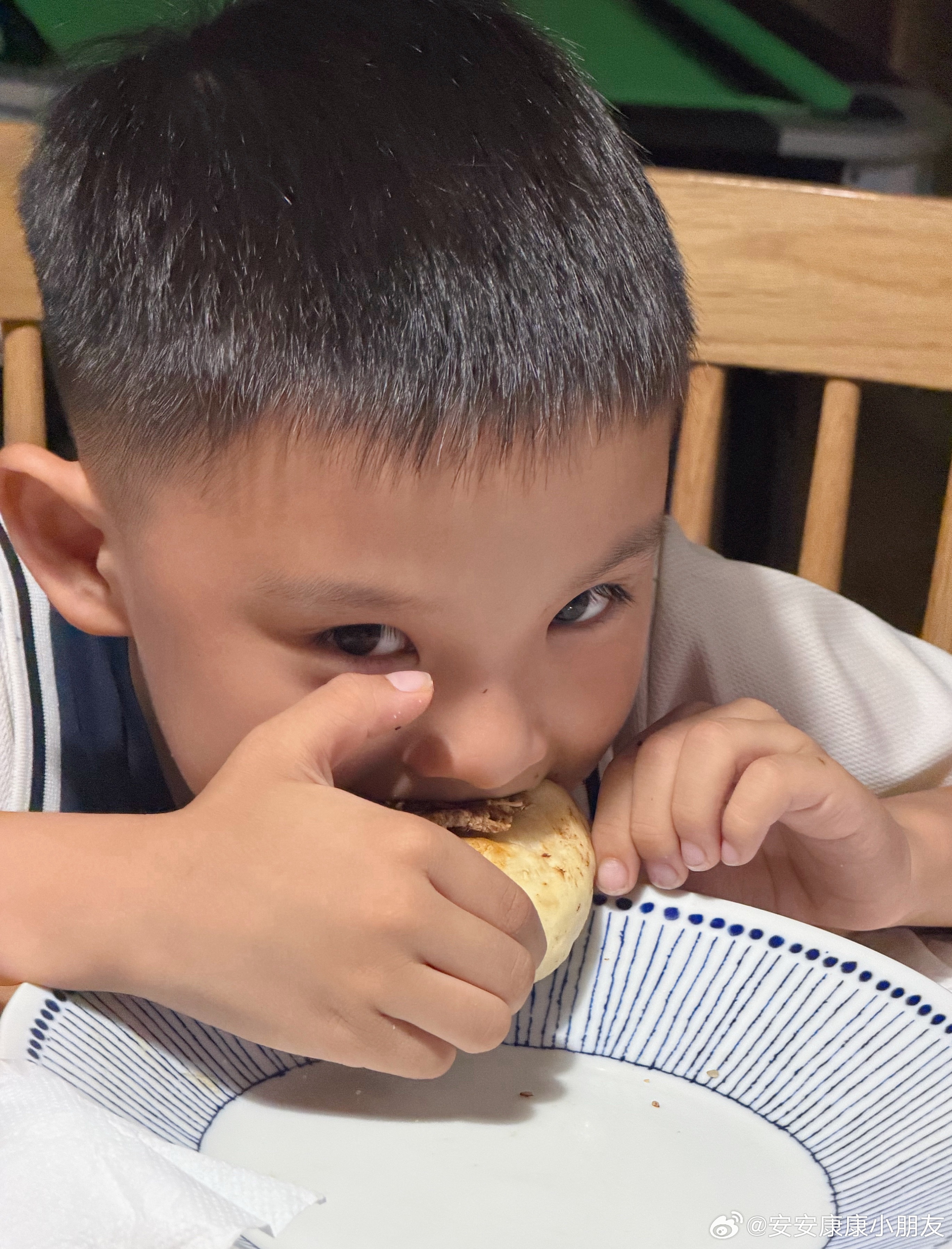 太有动力了，汪汪队三名队员一人一张饼 