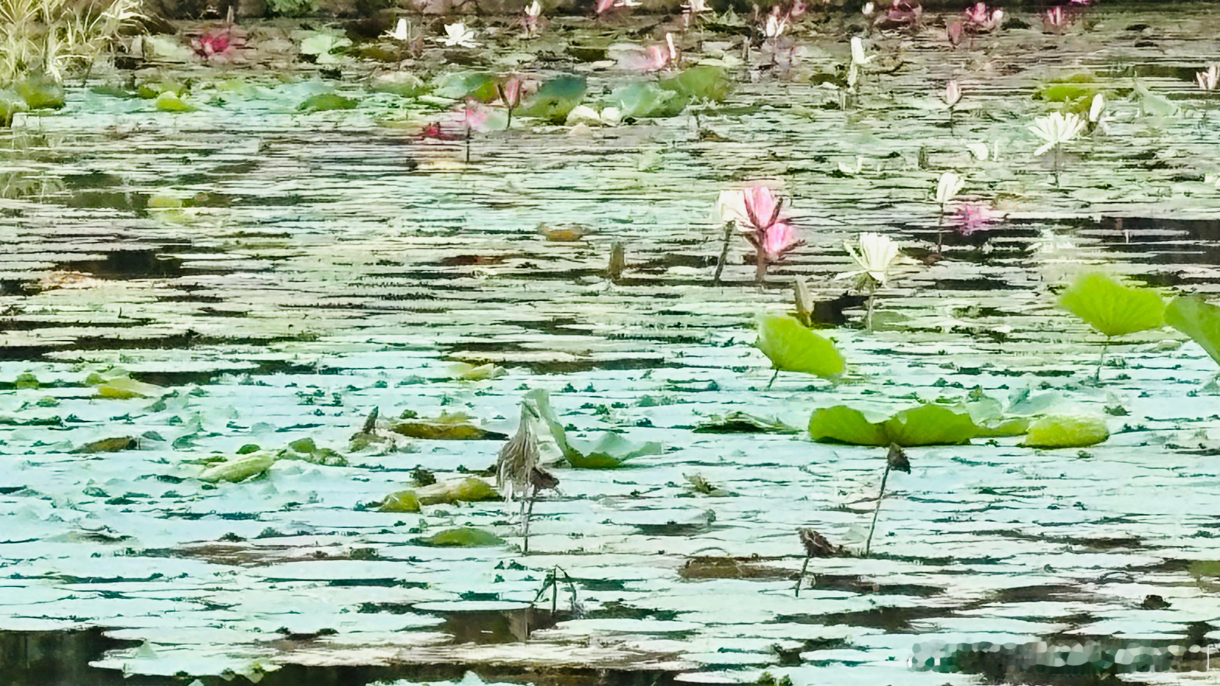 解决矛盾的简洁处方：由于立场不同，人们眼中看到的世界是不一样的，所以会产生很多偏