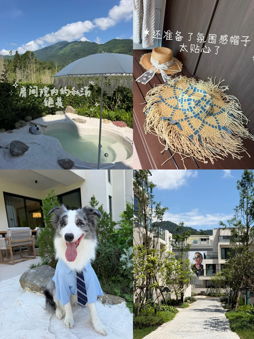 成都带狗🐶山谷庭院私汤｜毛孩子撒欢自由✨