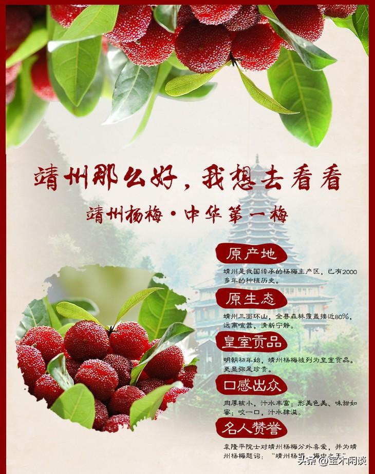 中国四大杨梅之乡，原本没有漳州，为何偏偏是它中枪？迄今为止，那些鼎鼎大名的四大杨