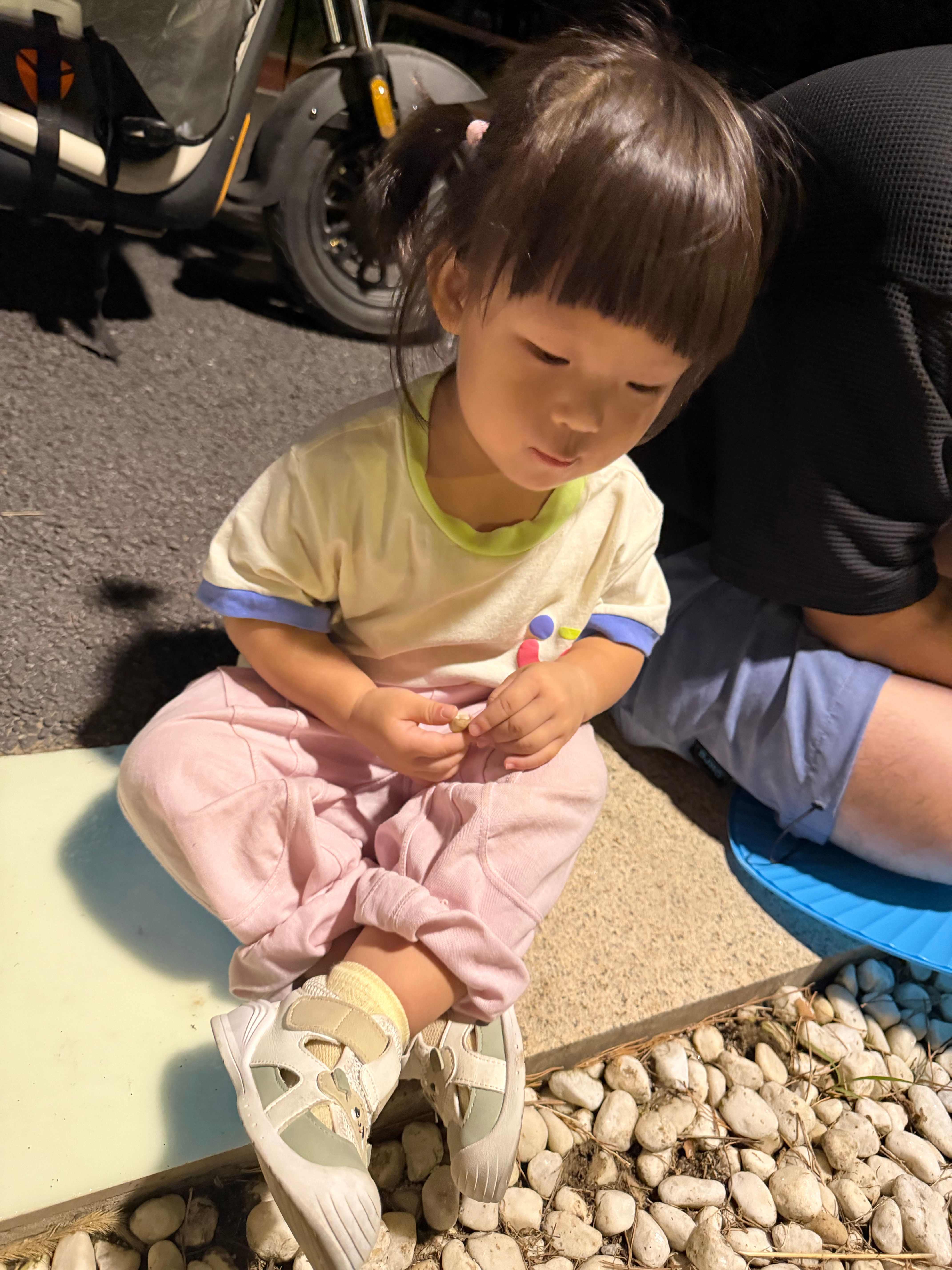 已经户外两个小时了[可爱] ​​​