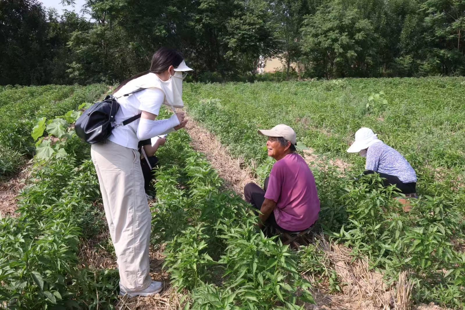 秦岭笑谈[超话]【数智赋能优化引黄灌区，节水灌溉助力乡村振兴】暑假三下乡社会实践