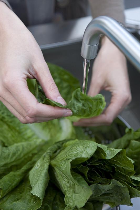 别再用错误方法洗菜了！这些误区正在悄悄伤害家人健康
 
很多人觉得洗菜只是简单的